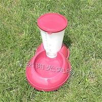 Темно-бордовый