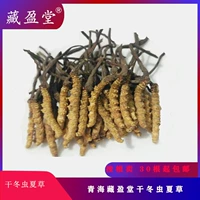 Zangingtang Qinghai Dry Cordyceps Sinensis, 7 граммов 1 грамм, 30 бесплатных доставки, по 8,5 юаней на продажу у корней