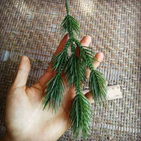 Сосновые ветви