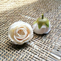 Абрикосовый порошок