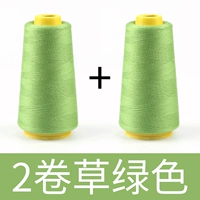 Трава зеленая