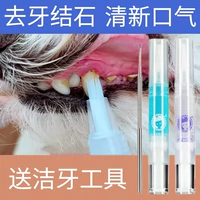 Платные собаки к зубным зубным зубным зубным ручкам инструмент