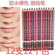 Snow White Lip liner Lông mày Bút chì Bút kẻ mắt Màu nude Không tẩy trắng Dễ dàng Tô màu Son môi 12 Màu Mix - Bút chì môi / môi lót