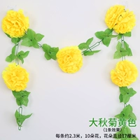 Daqiu chrysanthemum желтый (1 статья)
