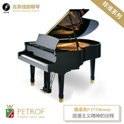 Thương hiệu mới nhập khẩu nguyên bản Pedrofu P173 Breeze grand piano tùy chỉnh dành cho người lớn cao cấp - dương cầm