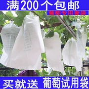 Đóng gói trái cây làm vườn cung cấp túi nho đỏ túi gỗ trắng bột giấy túi chống côn trùng khử trùng - Nguồn cung cấp vườn