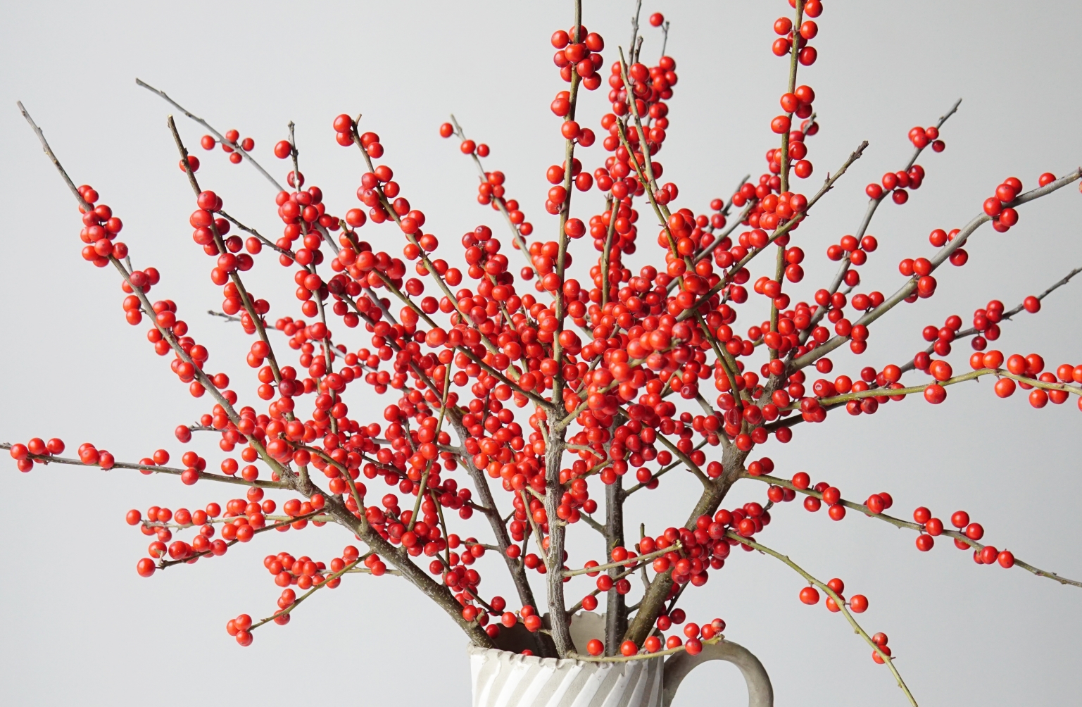 新品北美冬青鲜切枝满满的圣诞气息