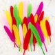Маленькие перья (смешанный цвет) 50 корней
