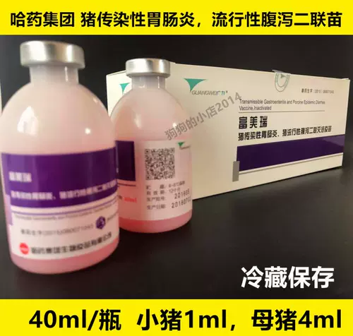 Инфекционное желудочно -кишечное желудочно -киш