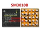 SM3010B дисплей IC