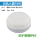 Xiaoyuan 18W-White-IP65