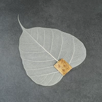 Bodhi Leaf Tea Filter Bộ lọc lá tự nhiên Bộ lọc trà Kung Fu Bộ phụ kiện Trà Leak Tea Phụ kiện nghi lễ ấm pha trà thủy tinh có lọc