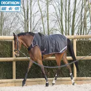 Decathlon đào tạo ngựa cinch thực hành tráng thích nghi một loạt các reins cưỡi ngựa thể thao FOUGANZA