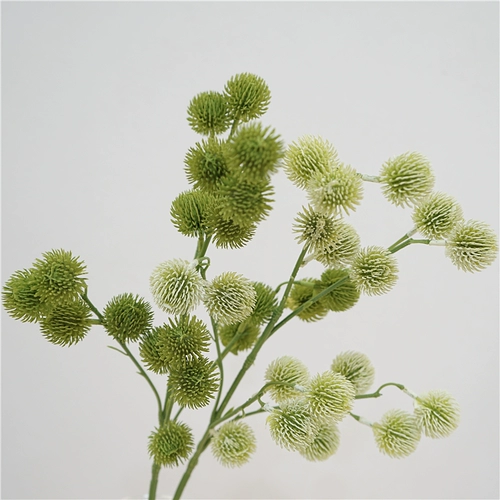 Простая природа симуляция растения одиночной ветви сосновой шарики