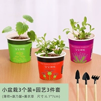 [Рекомендуется менеджером магазина]