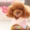 Bánh gạo nhỏ trang phục thú cưng nguyên bản Yorkshire Teddy cat dog handmade giả lông cổ áo mặt trời hoa nhỏ khăn choàng - Quần áo & phụ kiện thú cưng