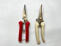 Красный, бежевый