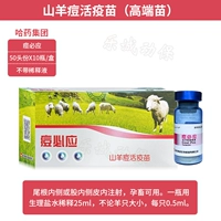 Высокие прыщи должны (50 голов/бутылка)