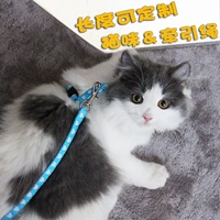 Крат -ремешки для домашних кошек кошки веревки веревки веревки кошки, веревки для кошек, котенок котенок веревки кроличьи собаки