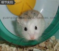 Мать -в -устав