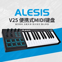 Elysis v25 Музыкальный сборник MIDI Клавиатура полузащиты