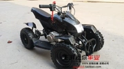 Xe máy mini ATV 49CC xe mini Ống xả đôi Điện khởi động xăng nhỏ bốn bánh ATV