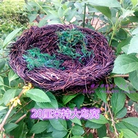 20 сантиметров крупных гнезд с птицами (в том числе зеленый мх)