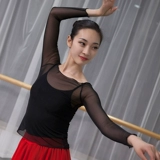 Современная танцевальная одежда сетки для женщин взрослые балетные балеты.