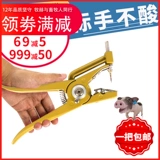 Выход Pliers к свинине, корову, овечьей наго камеры.