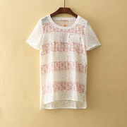 Gongzi Yue [trăm] mùa hè mới nhỏ cá tính màu sắc hoang dã ren openwork áo T-Shirt (lần)