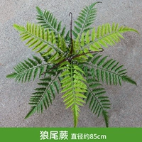 Армейский зеленый волк папоротник