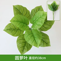 Светло -серая круглая доля