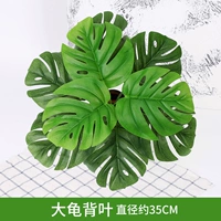 Оранжевая красная черепаха Доля