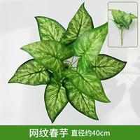 Сетчатый тальк