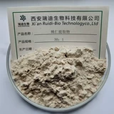 Персиковое ядро ​​экстракт пили -персиковой ядра концентрированная порошковая вода растворимая в жари