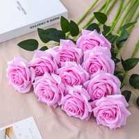 10 розовых находков роз