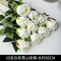 10 белая снежная гора роза