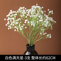 Цвет лотоса