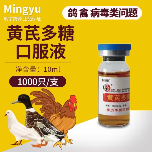 Мясное голубь