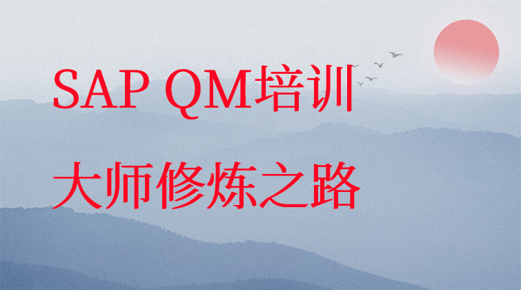 haima malala aotuo towin fuer aoer SAP QM ECC UD 深入解密视频课程