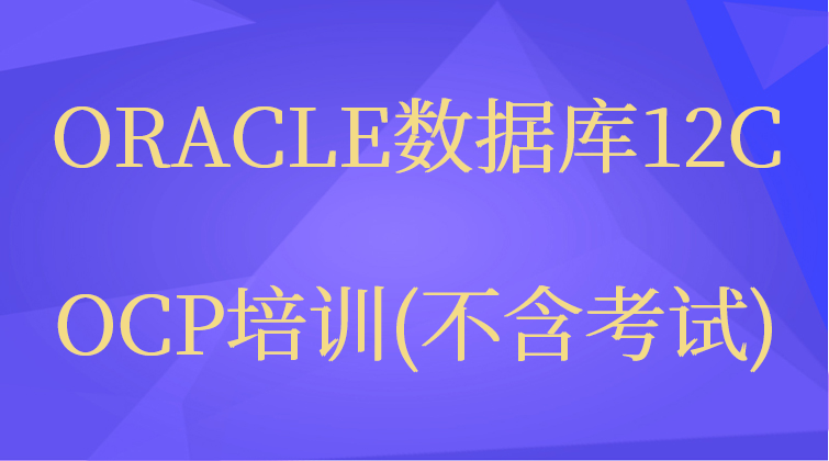 ORACLE数据库12C OCP培训（不含考试）