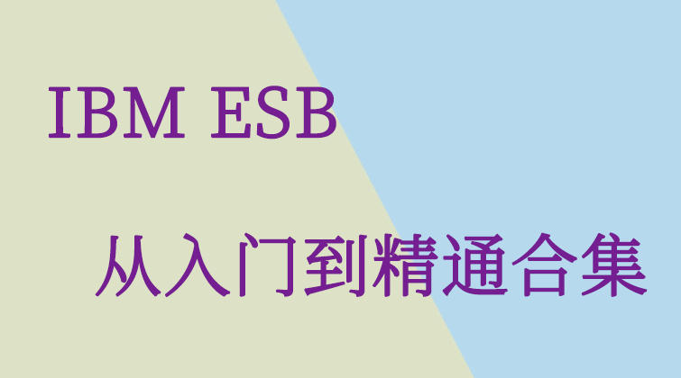 aotuo towin WEBSPHERE MESSAGE BROKER IBM ESB视频课程