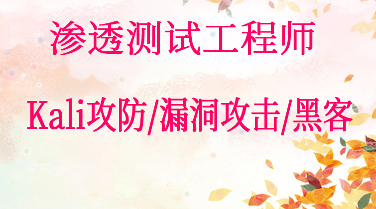 渗透测试工程师（Kali攻防/漏洞攻击/黑客）