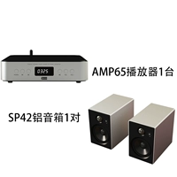 AMP65 Player+SP42 алюминиевый динамик