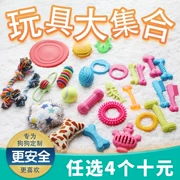 Pet dog vocal toy mol cắn đồ chơi bóng đào tạo Teddy mèo con chó con chó nhai chó cung cấp - Mèo / Chó Đồ chơi