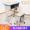 Heart IKEA nhà máy sản xuất trực tiếp lớp đào tạo sửa chữa lớp học bàn ghế nâng trường trung học cửa hàng đồ nội thất nhỏ chính thức - Nội thất giảng dạy tại trường