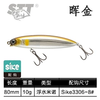 10g-Huijin