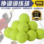 Thiết bị đào tạo bóng rổ, thiết bị, đào tạo, cung cấp quần vợt, đào tạo, chuyền bóng, đào tạo phối hợp, đào tạo đặc biệt - Quần vợt