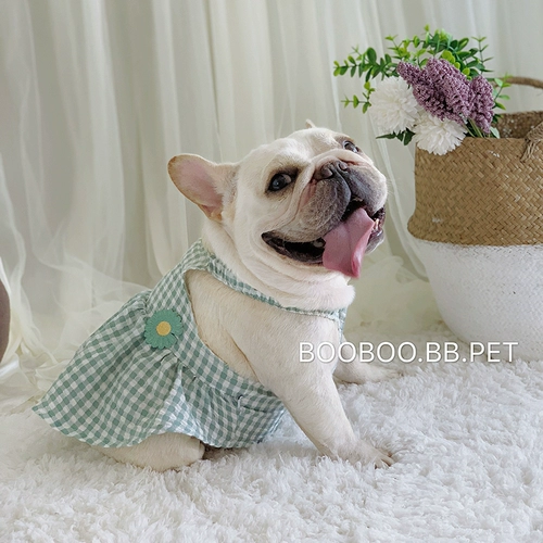 FA DOUBIRT BIGING FIGHING SPRING и Осенний человек засадите роздельный узор собаки собак Bull Burry Bagu