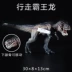 Khủng long Sile mô hình khủng long đồ chơi khủng long màu tím lục khủng long tyrannosaurus rex tyrannosaurus rex - Đồ chơi gia đình Đồ chơi gia đình